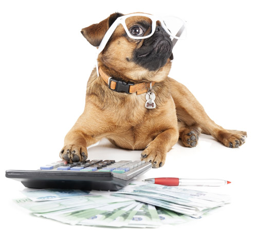 The price of a puppy or adult dog