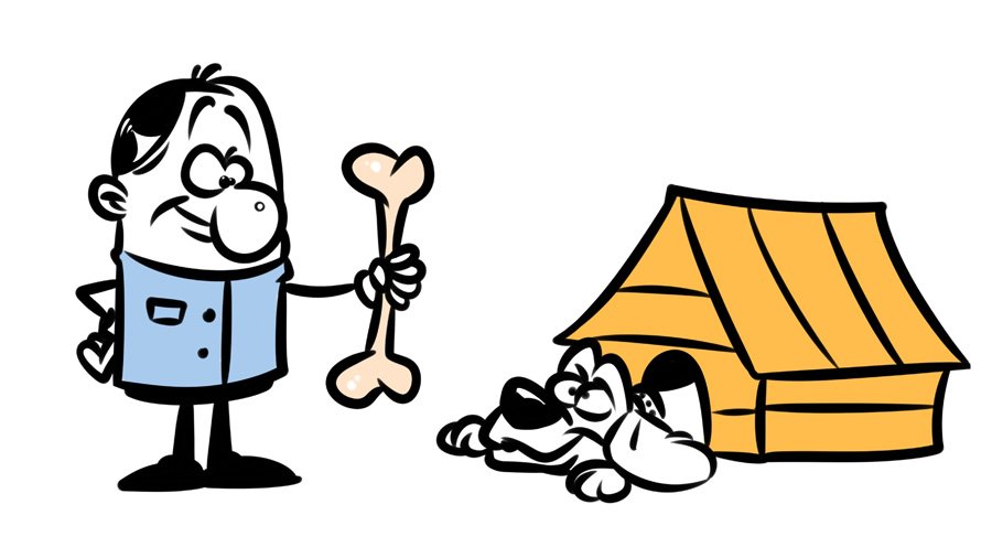 teach the dog commands