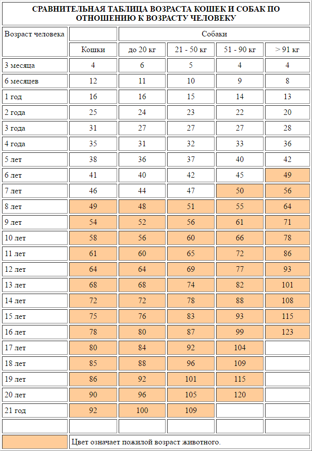Comparative table of the age of cats and dogs by human standards