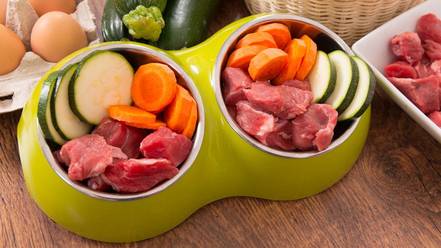 Natural feeding of dogs