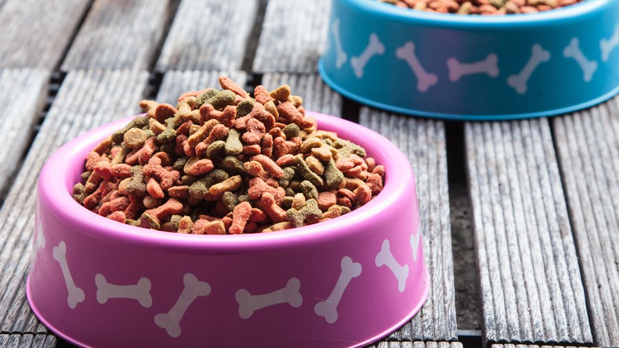 Dog food