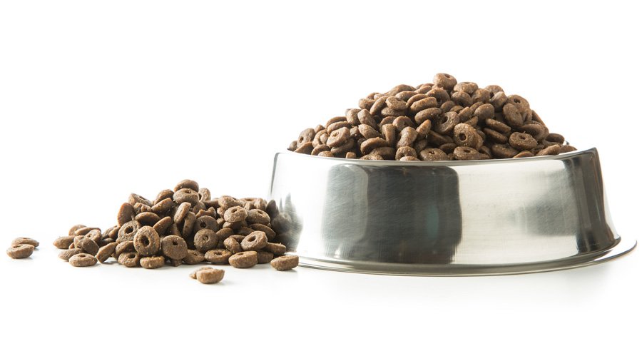 Dog food