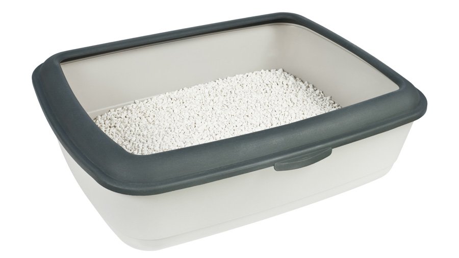 Dog Tray