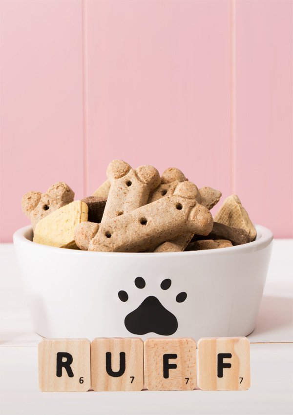 Nicknames, names for dogs of boys and girls