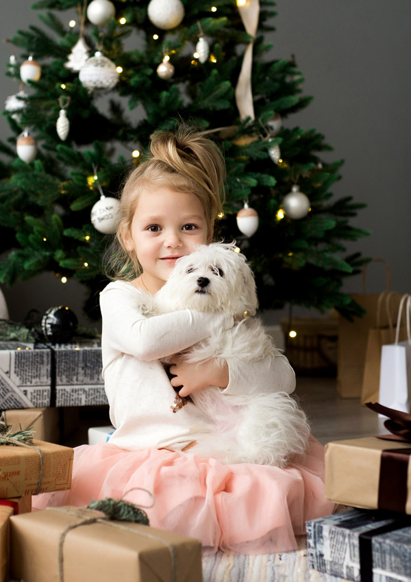 Children and the dog