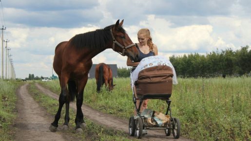 Woman with a stroller and a horse