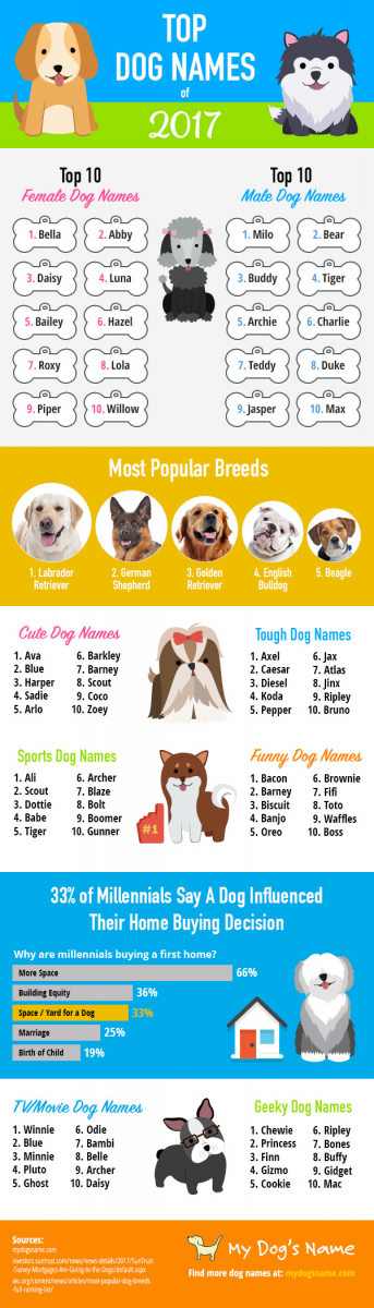American nicknames for dogs