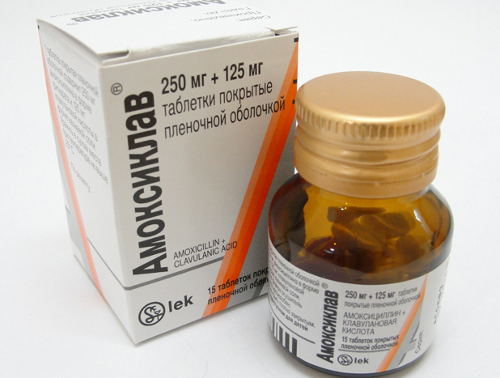 Amoxicillin for dogs, cats and others animals