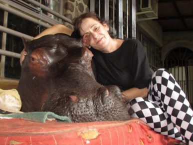 Woman and a hippo