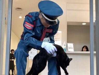 Museum guard with a cat