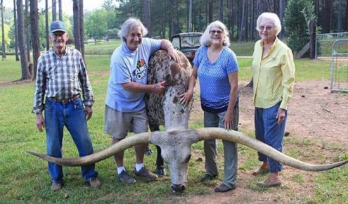 A family of farmers with a bull