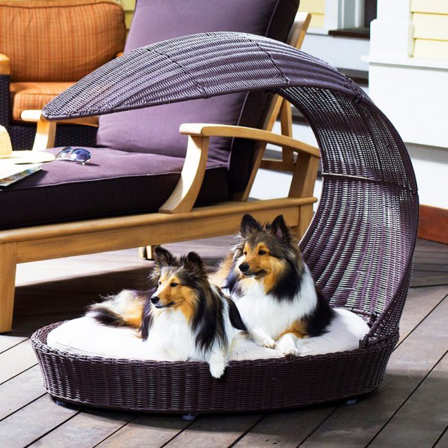 Lounger with a canopy for dogs made of artificial rattan