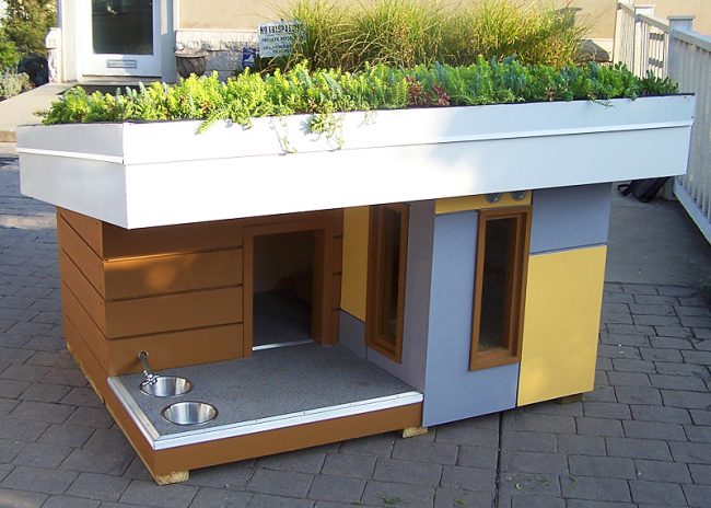 A very compact modern doghouse