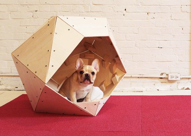 Modern tree house for dogs