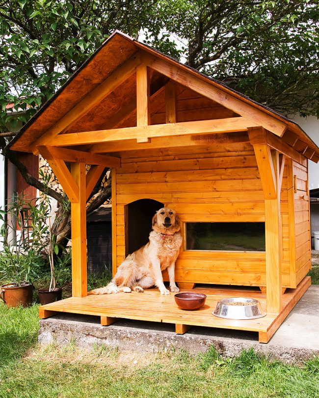Doghouse with a gable roof and an open terrace