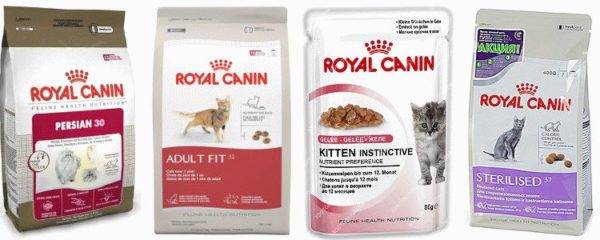 Royal Canin for the Yorkshire Terrier