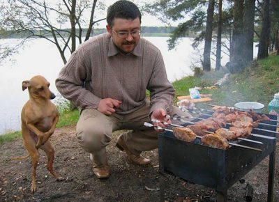 The dog helps to cook barbecue