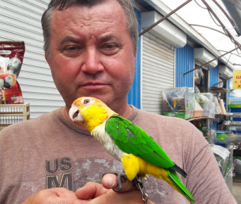 The parrot with the owner