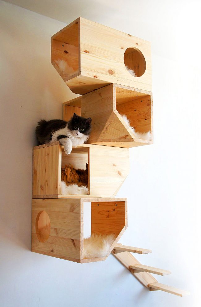 Wall-mounted modern house for several cats