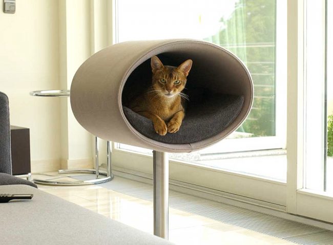 Modern and functional house for cats