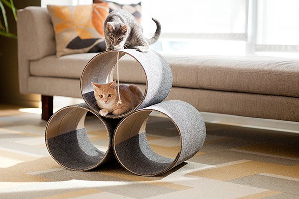 Cats for houses made of cardboard and cylindrical fabric