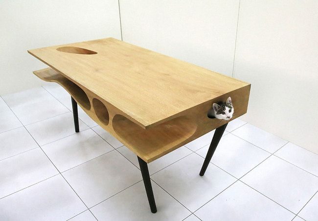 The original table will certainly become a wonderful platform for a curious cat