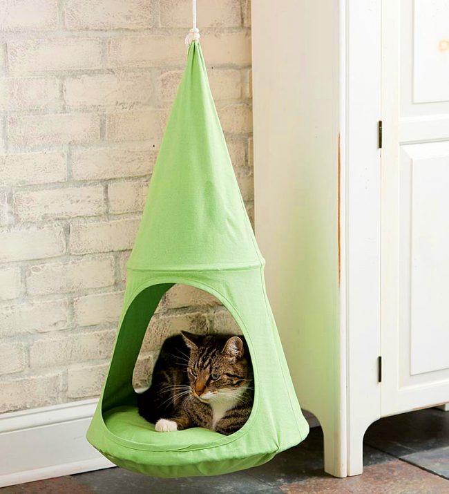 A hanging house contributes to the complete relaxation of cats