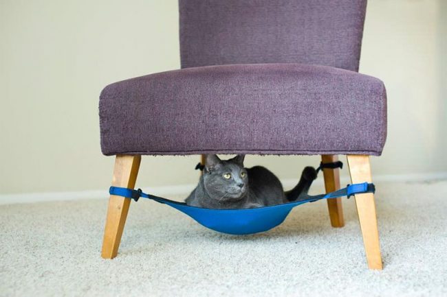A hammock under a chair will save space in the room and give pleasure to the cat
