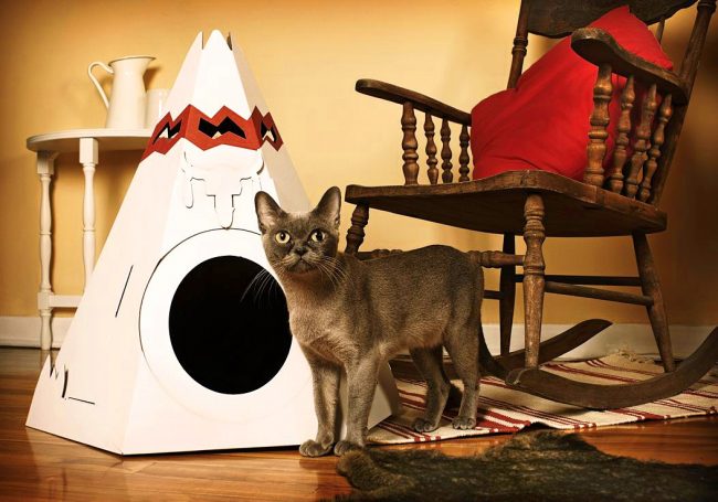 Cardboard wigwam - now every cat can imagine himself a real Indian