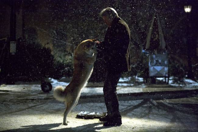 Akita Inu from Hachiko with the owner