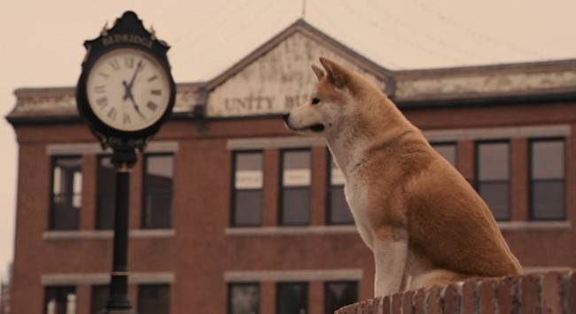 Hachiko from the Akita Inu movie