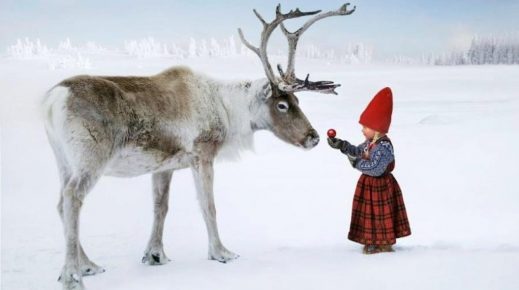 Girl and the reindeer