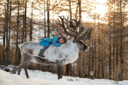 Girl on the Reindeer