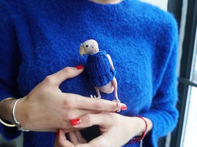 Rhea in a blue sweater