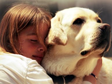 Girl hugs a beige labrador