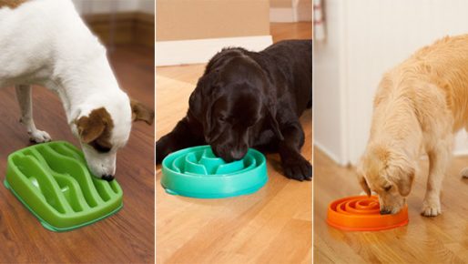bowls for slow feed eating