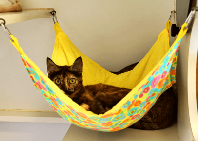 Hanging house for a cat