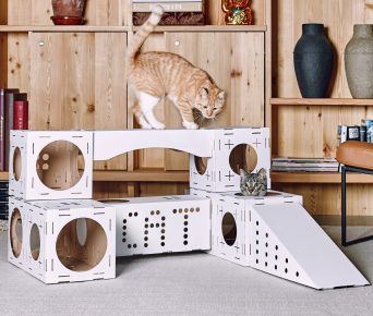 House for two cats