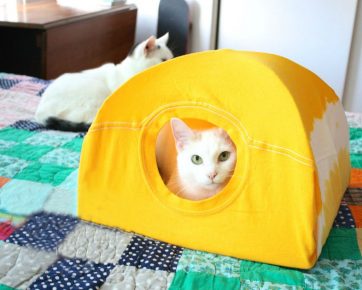 T-shirt cat house