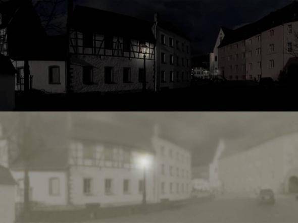 Night vision in a dog