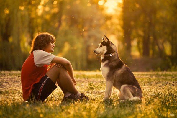 How to become a leader for a dog read the article
