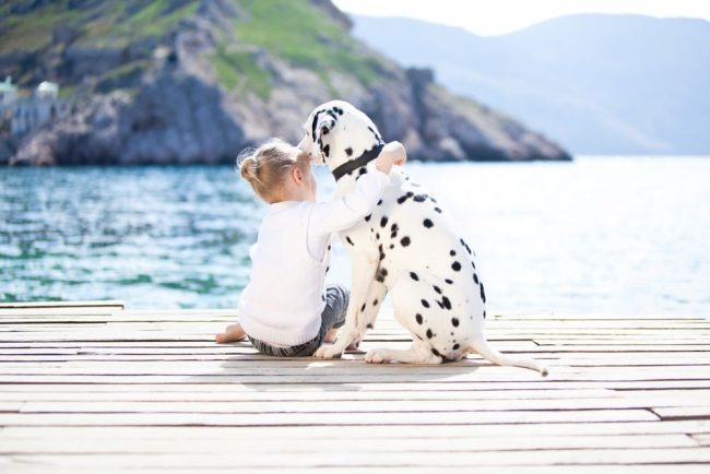Almost every child wondered: how to persuade parents to buy a dog? Follow the tips from this article, and everything will work out!