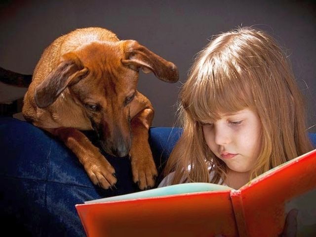 Say that the dog will not distract you from studies, but rather - will help to concentrate on homework