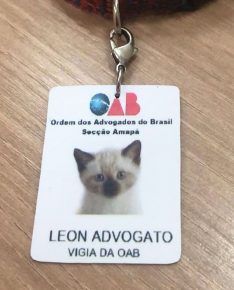 Cat Lawyer Certificate