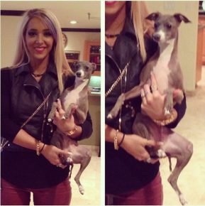 Jenna Holds Greyhound