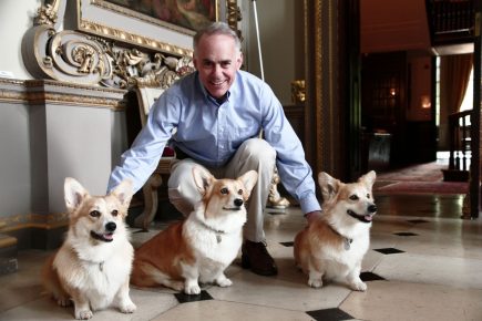 Dogs of the Queen of England