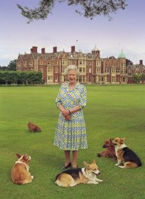 Queen of England surrounded by dogs