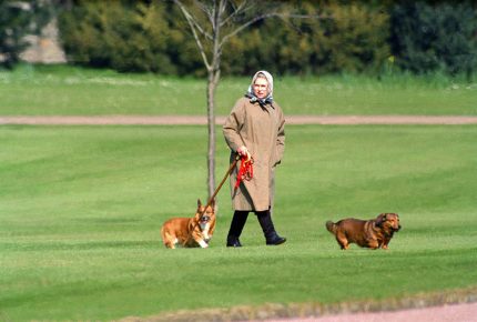 Elizabeth II and her dogs