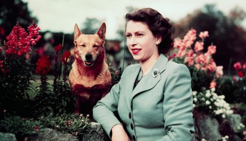 Queen of England with a dog