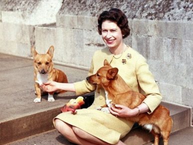 Queen of England with dogs